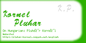 kornel pluhar business card